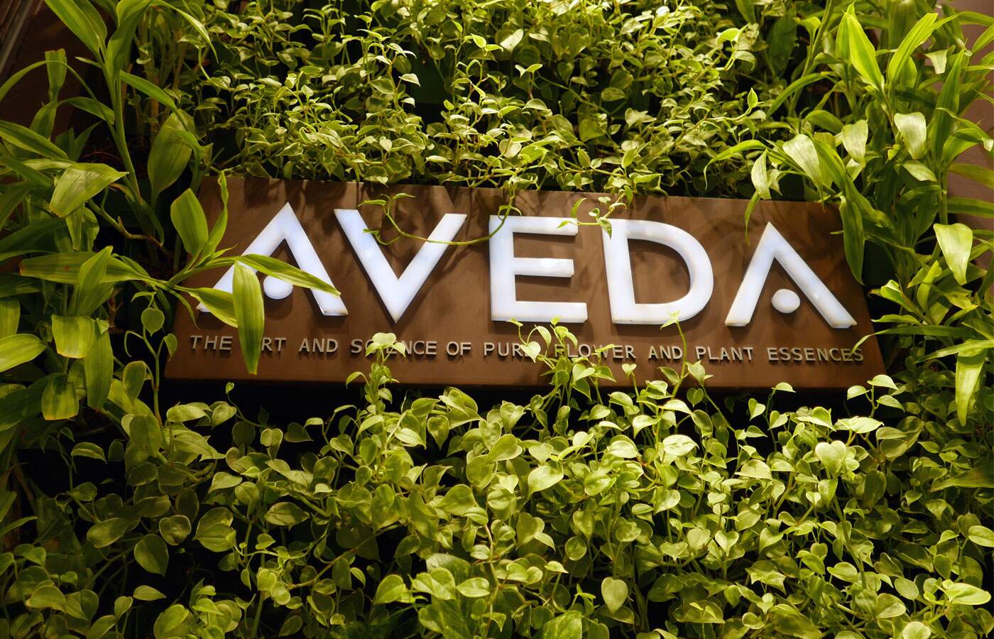 Aveda Institute Maryland logo plant based